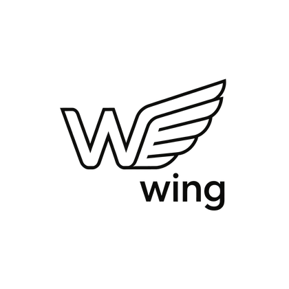 WING SHINE CONSULTING LIMITED